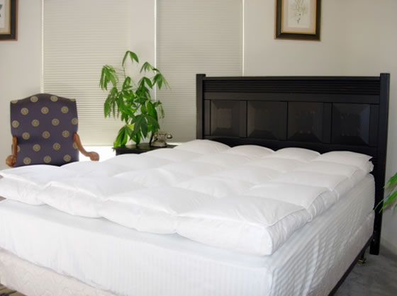 Welcome To Natural Comfort