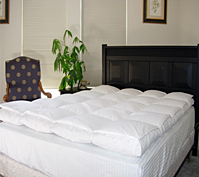 Dual Layers Goose down Feather Bed with Down Pillow Top Design - 2 Layers